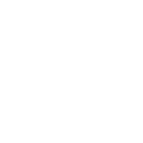 TechnoMic